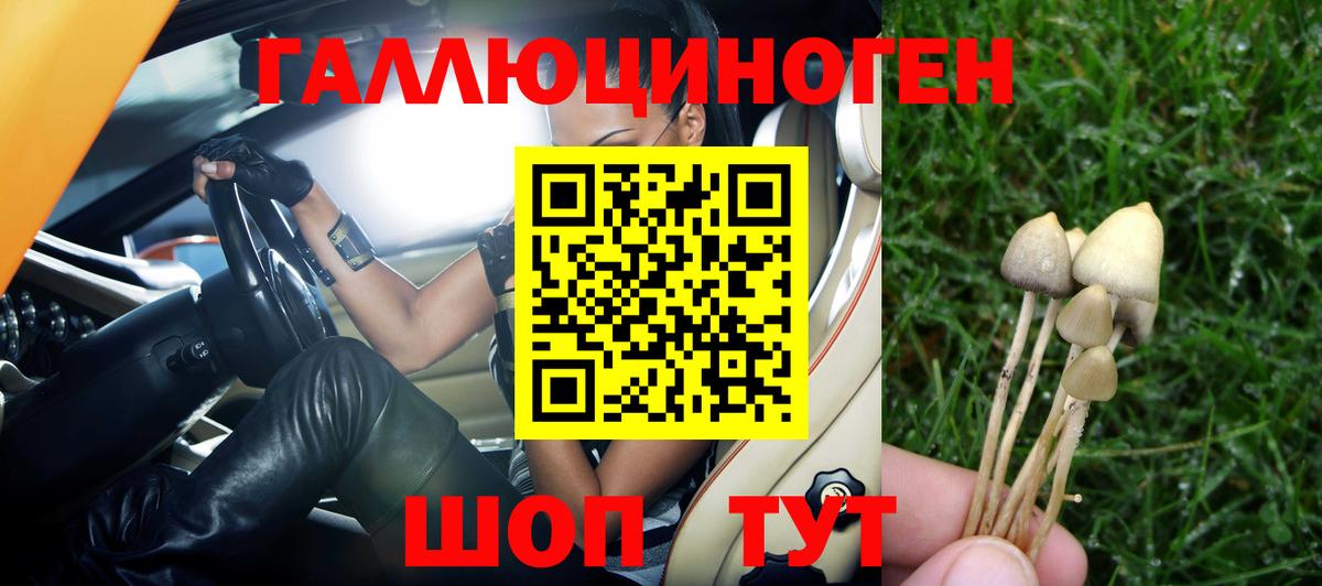 Псилоцибиновые грибы Psilocybe Когалым
