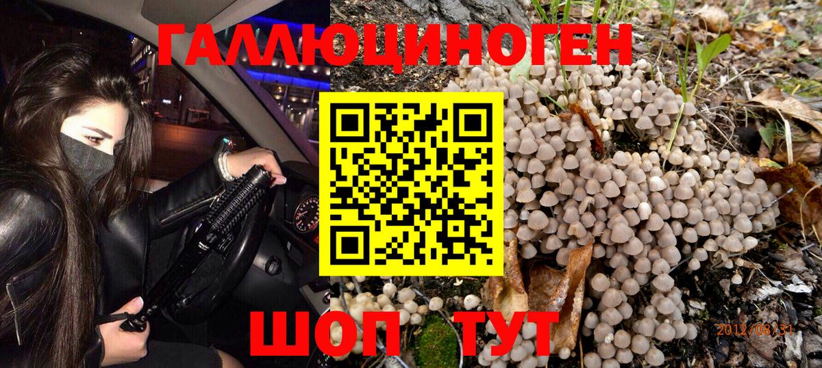 Галлюциногенные грибы Psilocybe  Псилоцибиновые грибы GOLDEN TEACHER  Вход с VPN  Когалым 